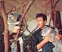 Cliff Richard