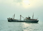 Scheveningen 54