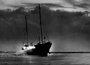 Veronica zendschip gestrand